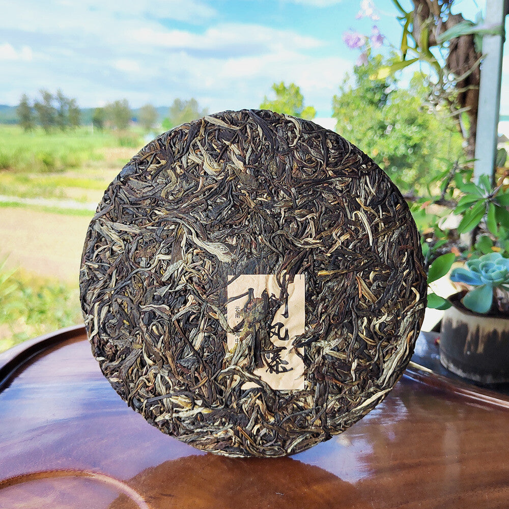 Scraping Walled Pu'er Tea Cake Yiwu Ancient Raw Tea First Spring Organic Tea
