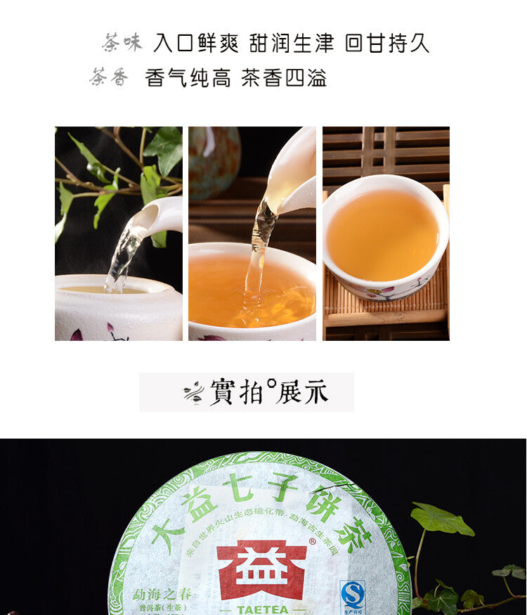 2012 Dayi Spring of Menghai Raw Puer Tea Batch 201 TAETEA Shen Pu-erh Tea 357g