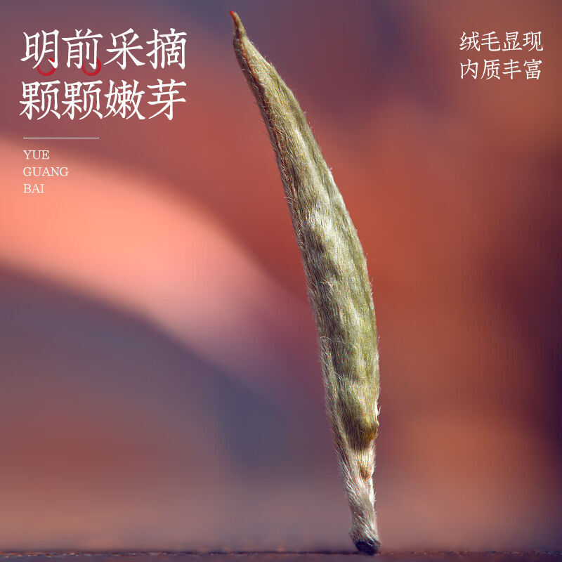 White Hair Silver Needle Tea White Tea Ancient Premium Moonlight White Tea 500g