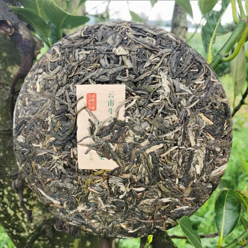 Organic Green Tea Cake Chinese Tea Health Care 357g Natural Arbor Cha Pu'er Tea
