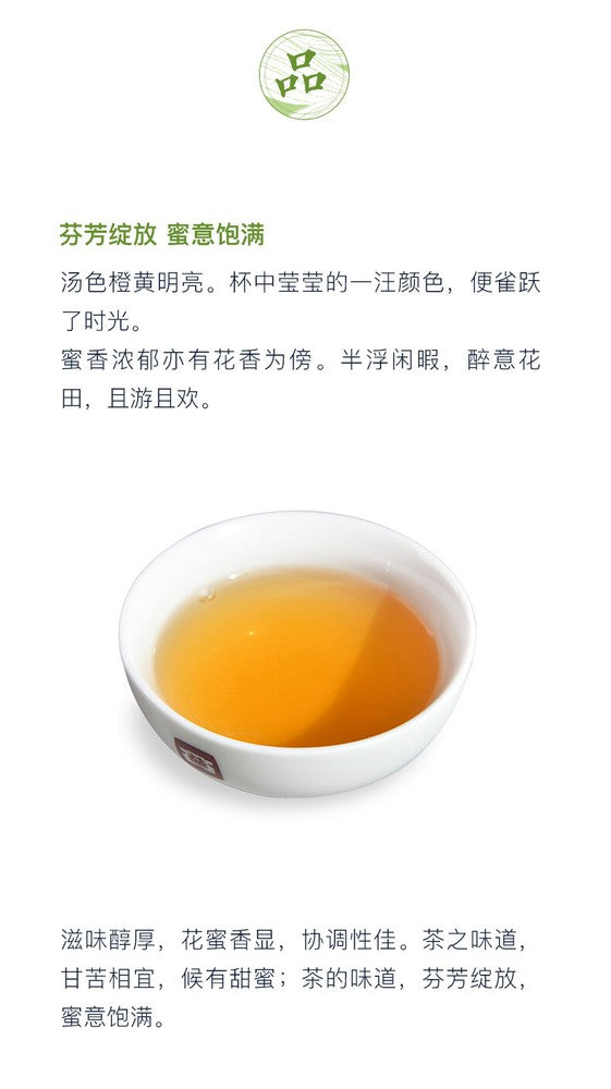 TAETEA MI XIANG * 2019 Menghai Dayi Raw Pu'er Tea Cake Organic Pu-erh Tea 300g