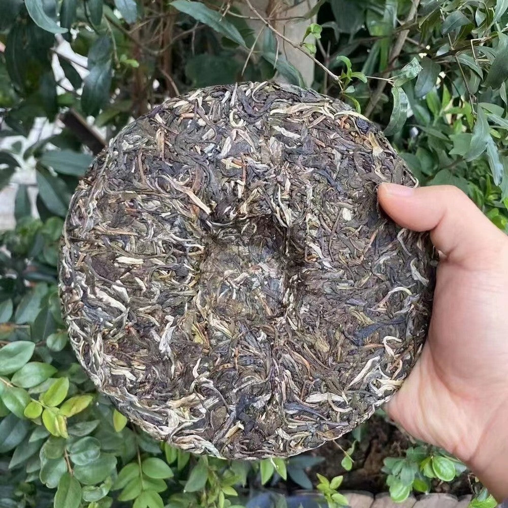 357g Yunnan Raw Puerh Tea Cake 2021 Huangjia Yiwu Pu'er Raw Tea Pu-erh Cake Tea