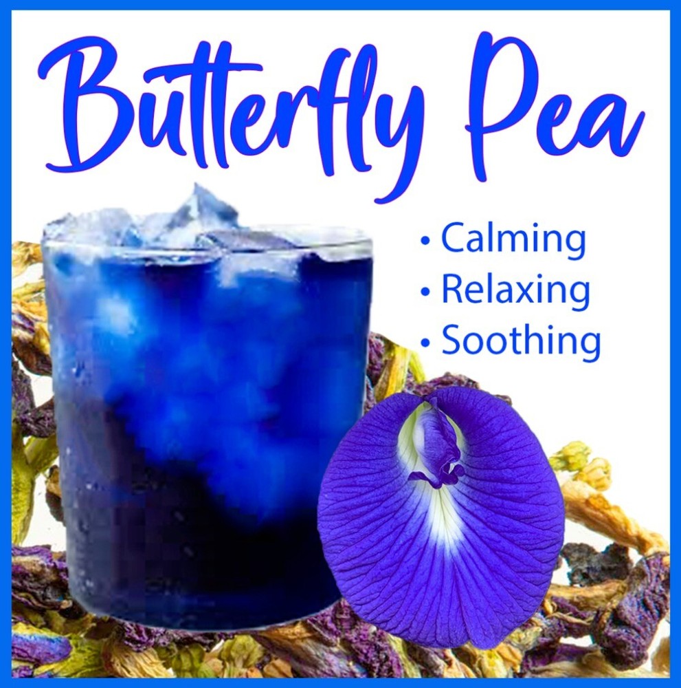 Butterfly Pea Flower Tea BLUE TEA Butterfly Pea Tea Clitoria Ternatea USA 100g