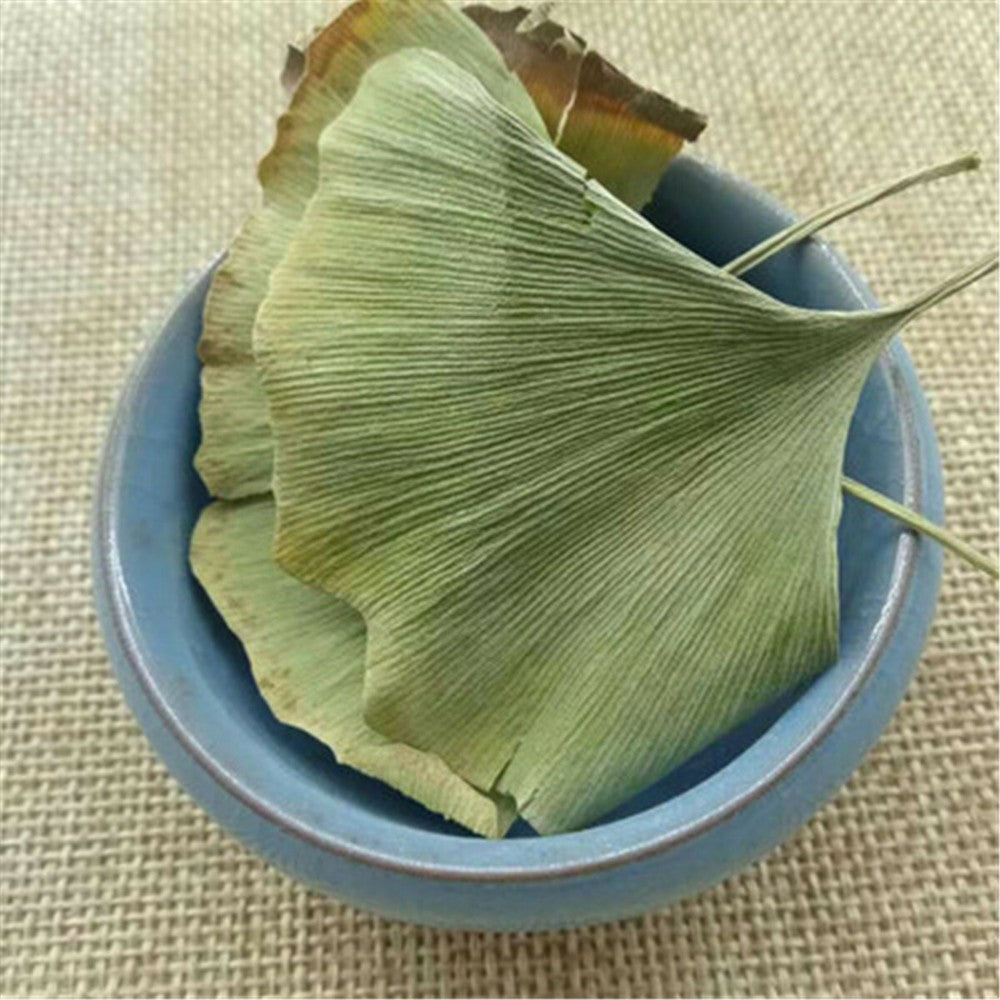 Ginkgo Biloba Leaves Chinese Wild Ginkgo Tea Medicinal Tea Healthy Herbal Tea