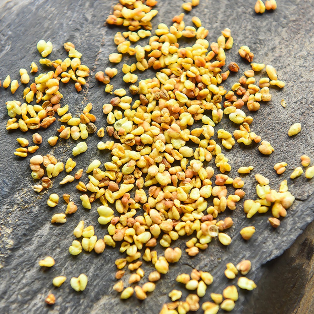 Yellow Tertiary-buckwheat Tea Herbal Tea Weight Loss and Relaxation Healthy Tea