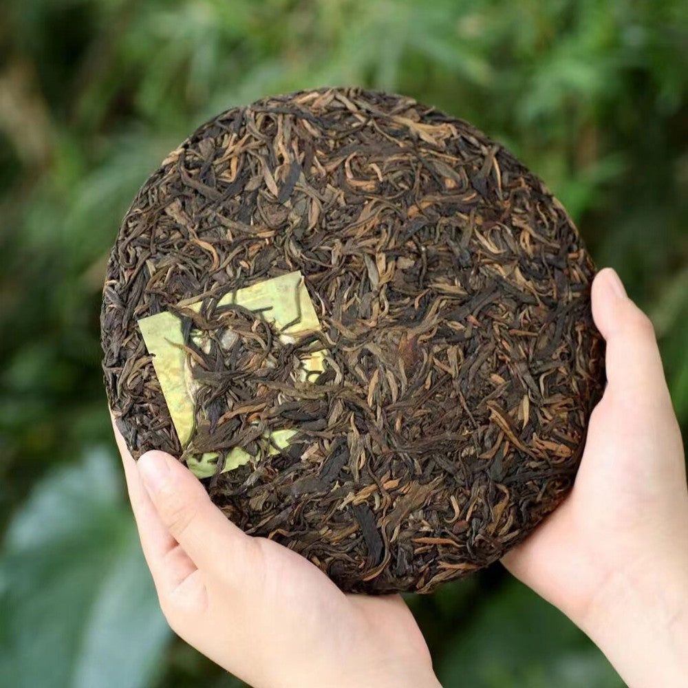 357g Yunnan Old Sheng Pu'er Tea 2009 Xigui Pu-erh Raw Tea Cake Aged Puerh Tea