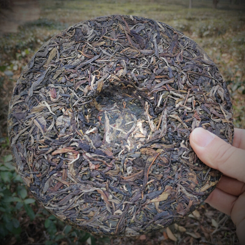357g Certified Yiwu Pu'er Tea Early Spring Arbor Cha Tea Weight Loss Healthy Tea