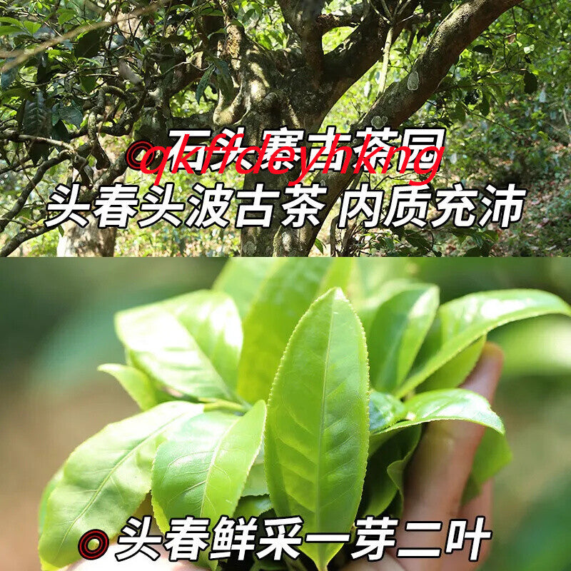 Puerh Tea Raw Tea Yunnan Ancient Tree Tea 南糯山甲沱2023春茶新茶新益号普洱茶生茶云南古树茶沱茶 500g