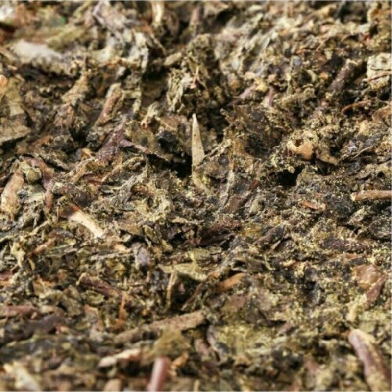 Custom Made Yiyang Anhua Dark Tea Hei Cha Fu Tea Brick Fu Tea Fucha 300g-
