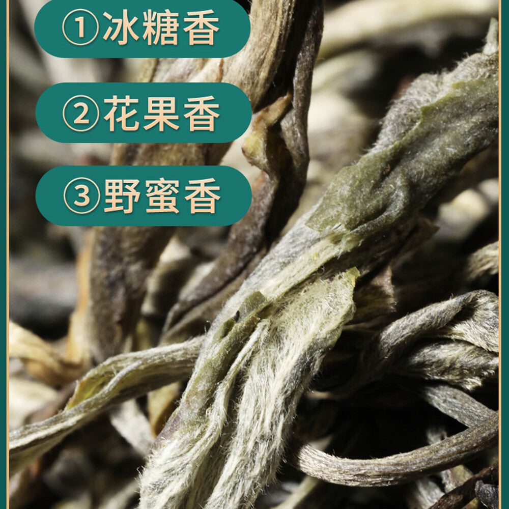 Bingdao Pu'er Tea Natural Health Tea