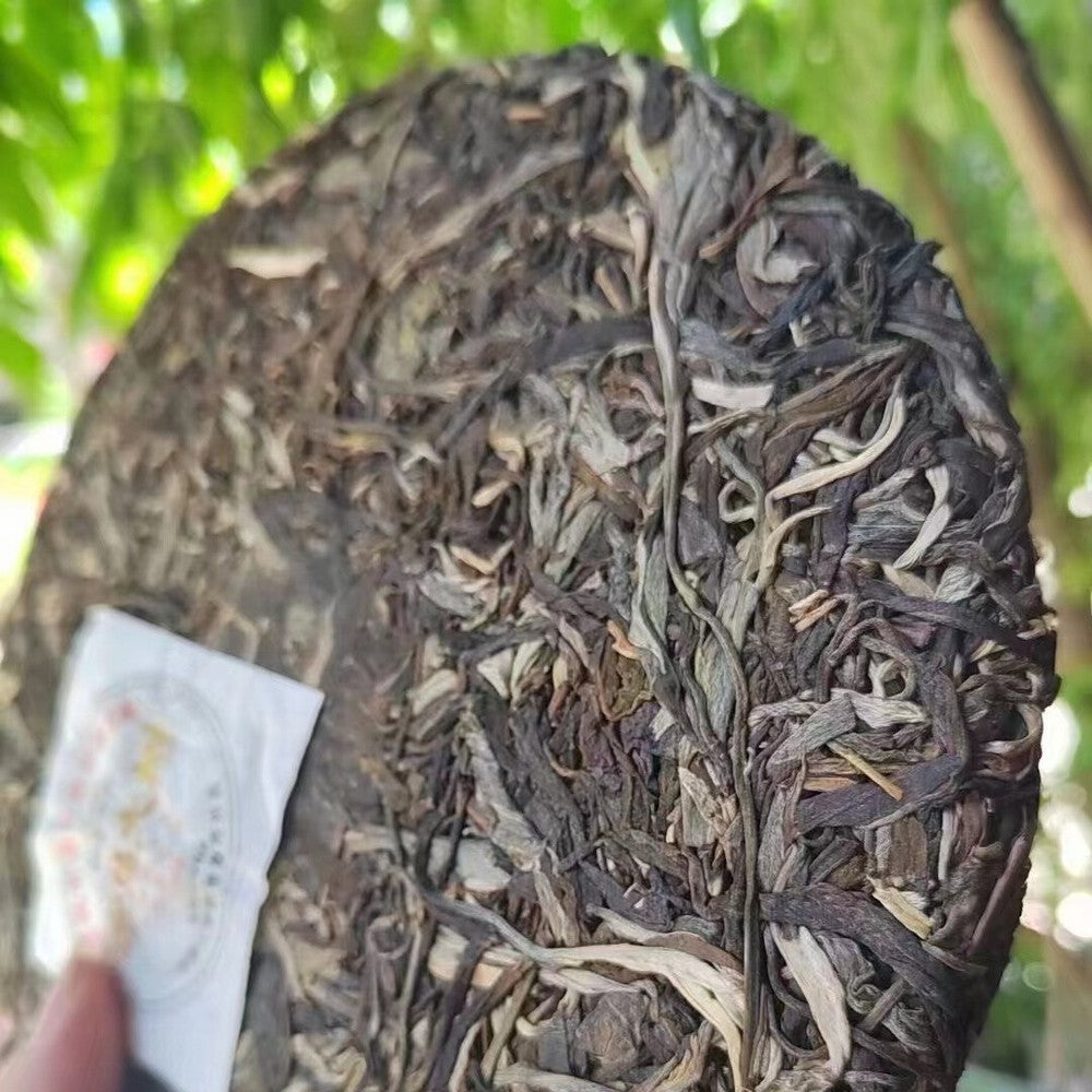 357g Yunnan Raw Pu'er Tea Cake 2022 Bingdao Big Tree Puerh Raw Tea Pu-erh Tea