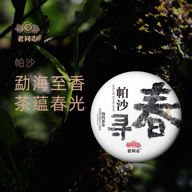 Lao Tong Zhi Puerh Tea Raw Tea Pasha Hilltop Pure Material Puerh Tea Cake 100g