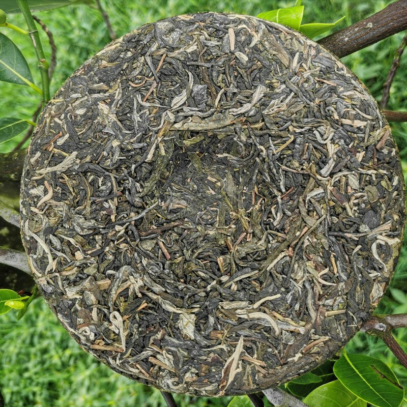 Organic Green Tea Cake Chinese Tea Health Care 357g Natural Arbor Cha Pu'er Tea