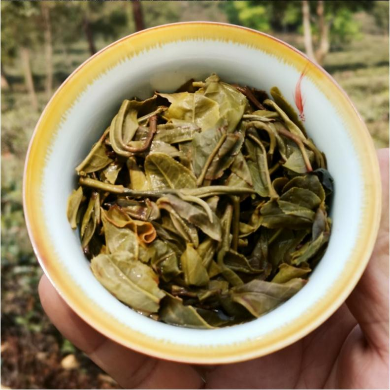 357g Yunnan Qizi Raw Puerh Tea Cake Yiwu Early Spring Pu'er Sheng Tea Pu-erh Tea