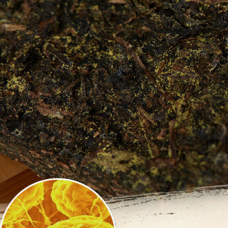 Custom Made Yiyang Anhua Dark Tea Hei Cha Fu Tea Brick Fu Tea Fucha 300g-