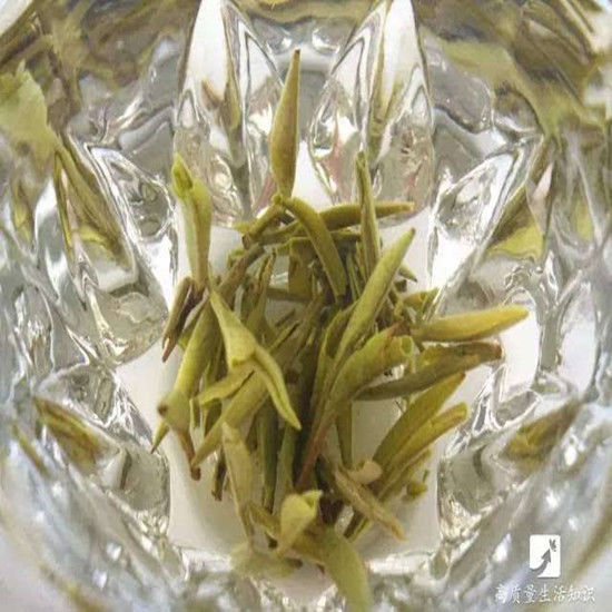 100g Chinese Fuding Silver Needle White Tea Bai Hao Yin Zhen Tea Organic Tea
