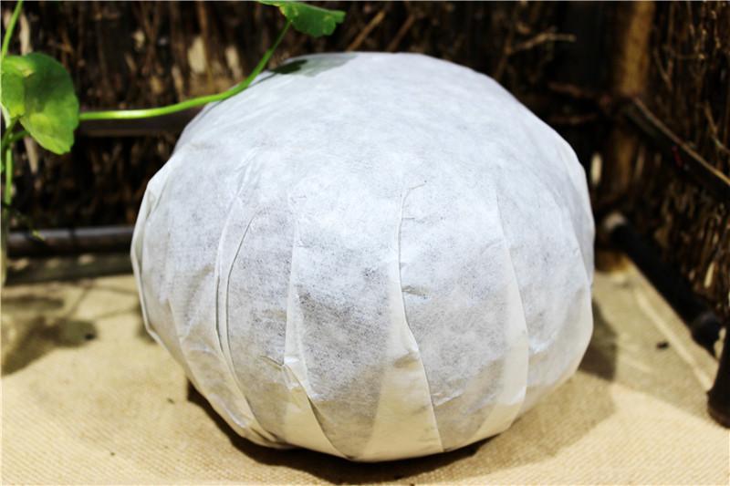 Yunnan Pu-erh Tea Gold melon tribute tea Raw puerh tuo cha Sheng puer tea 1000g