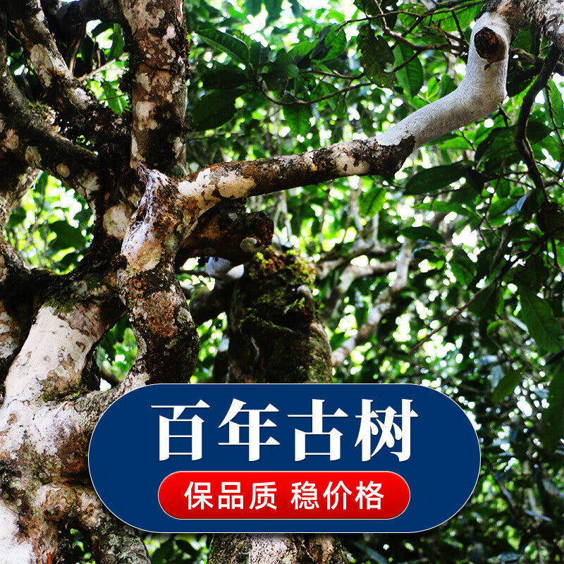 Premium Xinyhao Pu'er Tea Raw Tea Cake Exquisite Small Tea Cake Healthy Drink