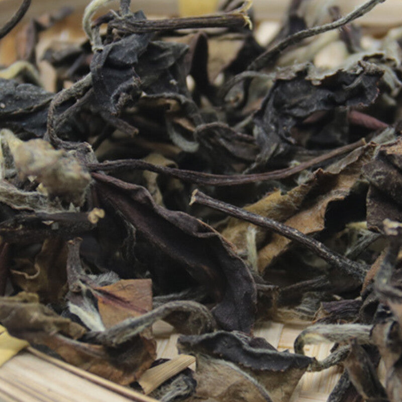 500g Premium Natural White Tea Fuding White Tea Bulk Gaoshan Jujube Aroma Tea