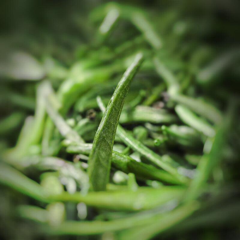 2023 Green Tea The Vert Tippy Tea Que She Like Bird Tougue 250g Spring Tea