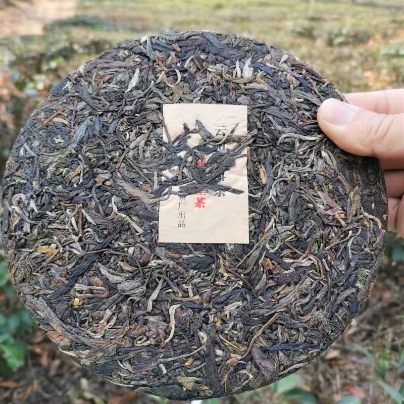 357g Yunnan Qizi Raw Puerh Tea Cake Yiwu Early Spring Pu'er Sheng Tea Pu-erh Tea