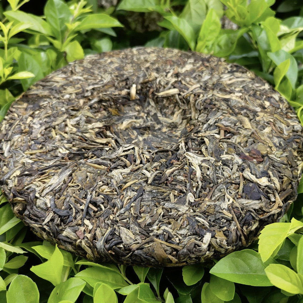 357g Menghai Pu-erh Tea Cake Xigui Old Tree Puerh Sheng Tea Pu'er Green Tea