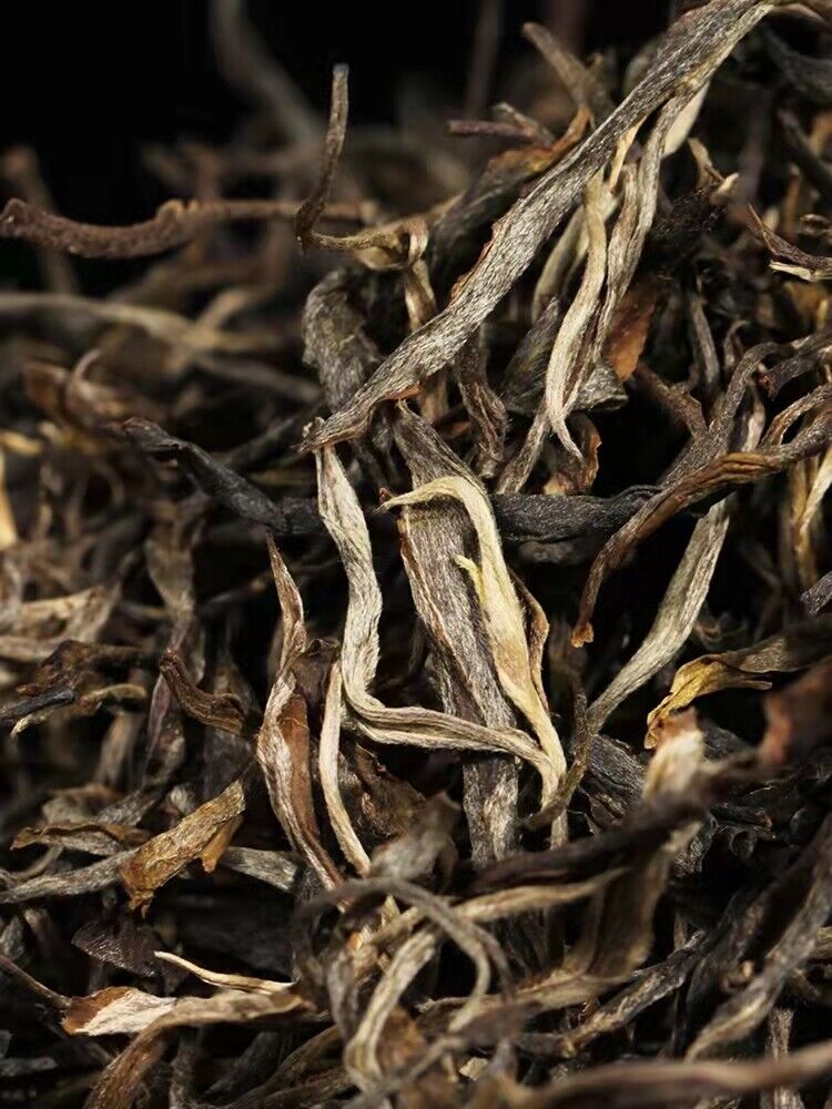 Yunnan Old Ban Zhang Gushu Pu'er Tea Chunsheng Pu'er Tea Uncooked Pu'er Tea-