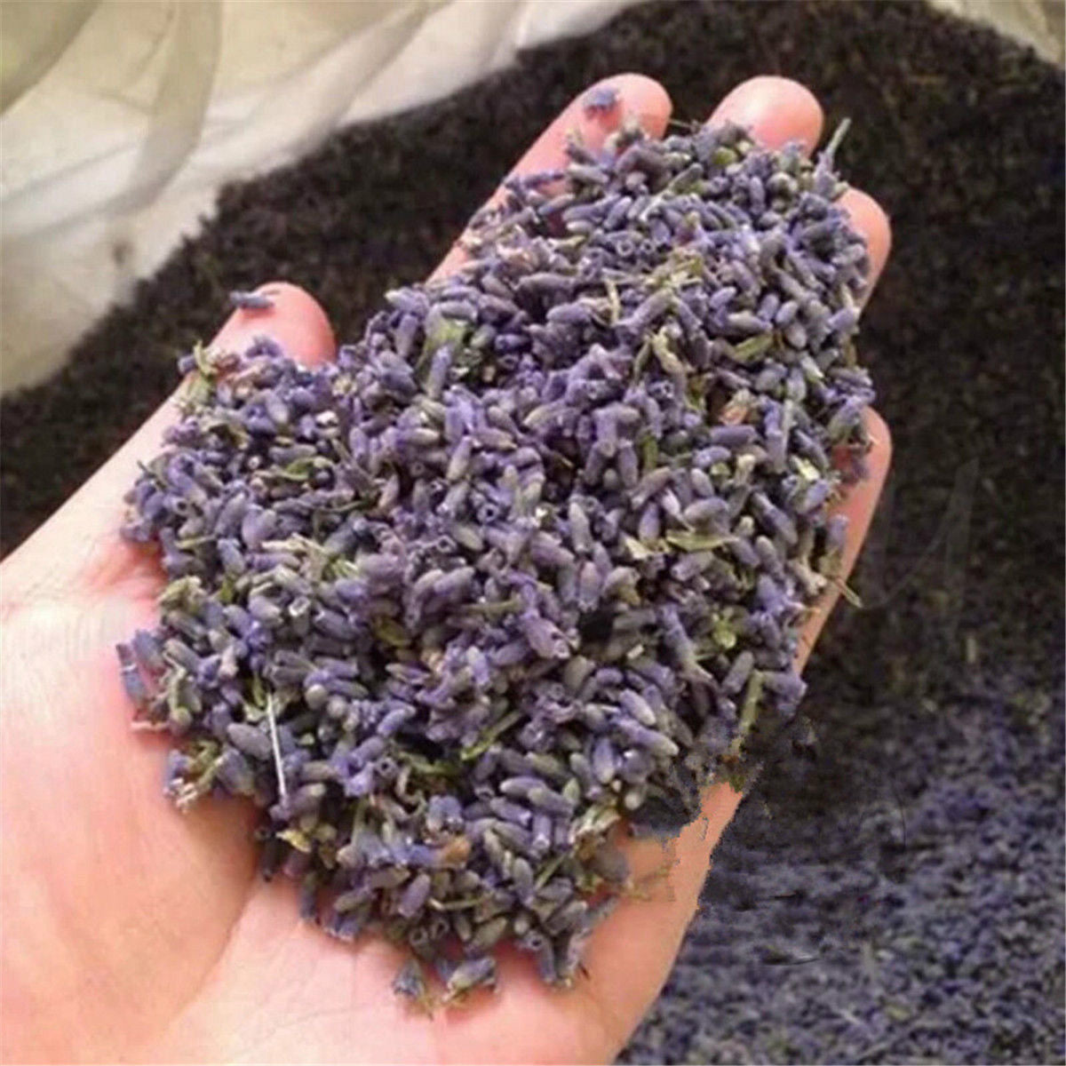50g Lavender Dried Flower Tea Floral Organic Herbal Tea Good for Sleep Beauty CN