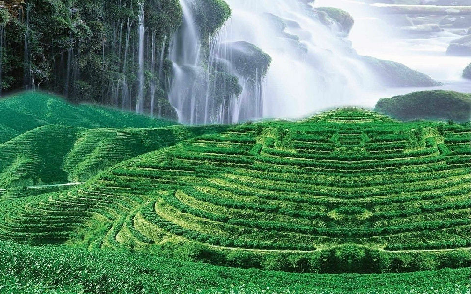 100g Yunnan cha Puer Tea Pu-erh Tea Puer Tuo Cha cha Green Tea Food Health Care
