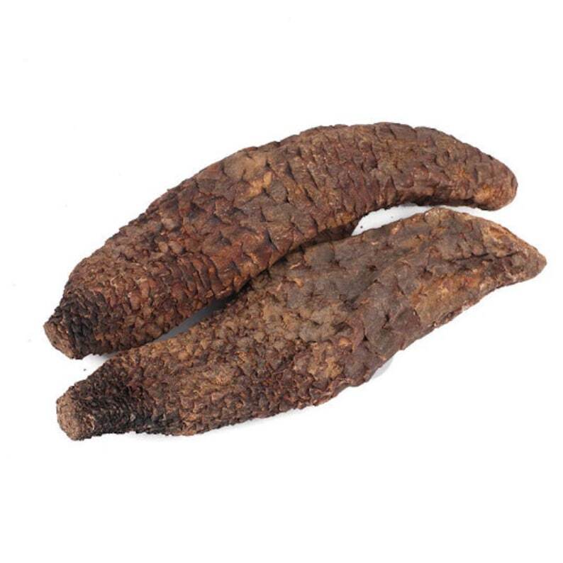 1.1 LB Pure Wild Desertliving Cistanche Tubulosa Herb Herb Cistanche RouCongRong