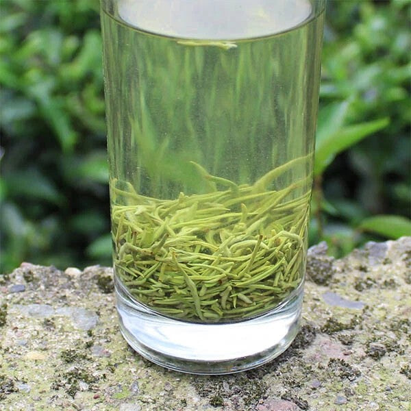 Top Chinese Xue Ya Green Tea,Organic Snow Bud White Tea,xueya tea