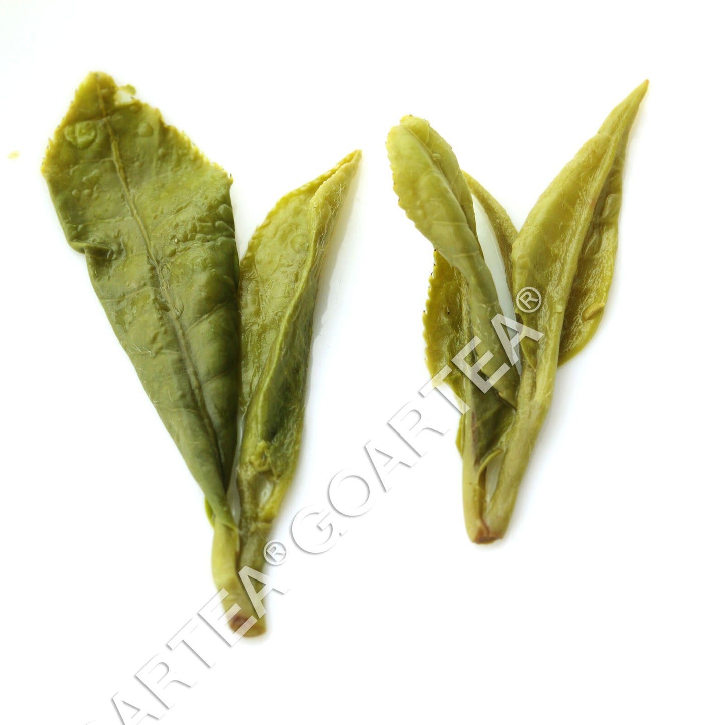 GOARTEA Top Xihu Longjing Dragon Well Spring Green Tea Long Jing Green Tea-