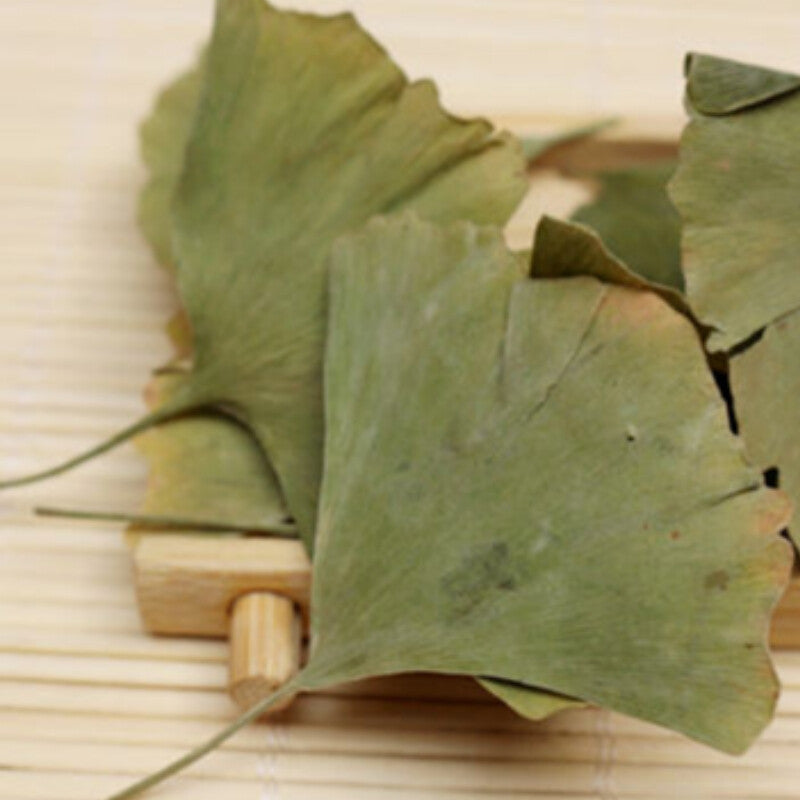500g Pure Natural Anti-aging Green Herbal Tea Dried Ginkgo Biloba Leaf Tea
