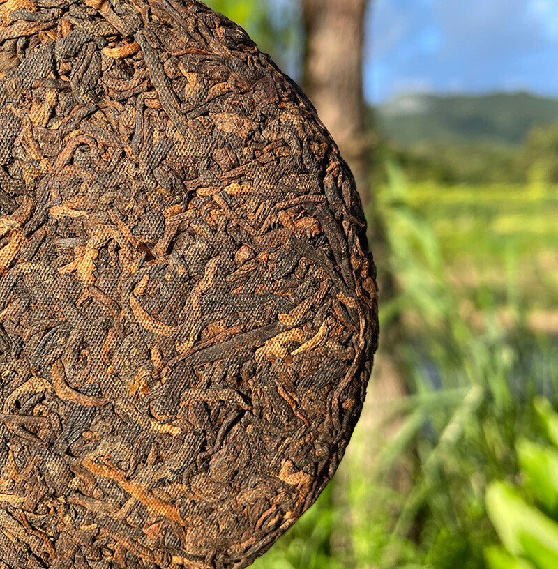 Yunnan Early Spring Yiwu Puerh Tea Ripe Tea Menghai Jiao Mu Tea Green Tea 100g