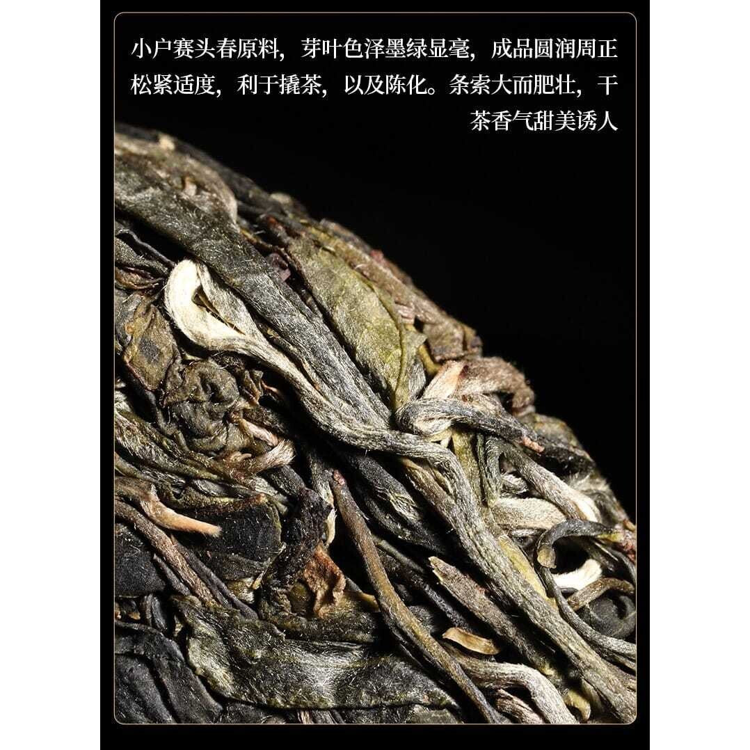 Puer Tea Brick Raw Pu'er Puer Old Tree Sheng Tea Yunnan 100g Puerh Spring Tea