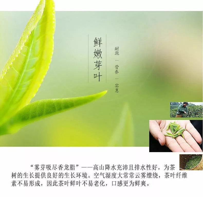 500g Premium Organic Bai Mu Dan White Peony White Tea Spring Tea Loose Leaf Tea