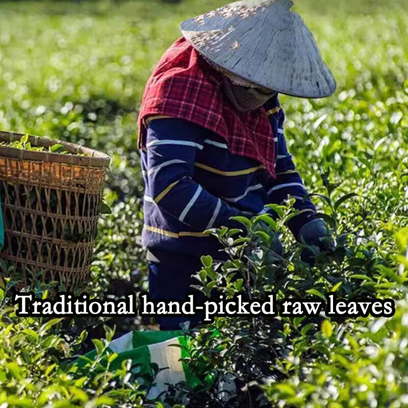 Taiwan jinxuan milky oolong tea green tea organic loose leaf tea healthy