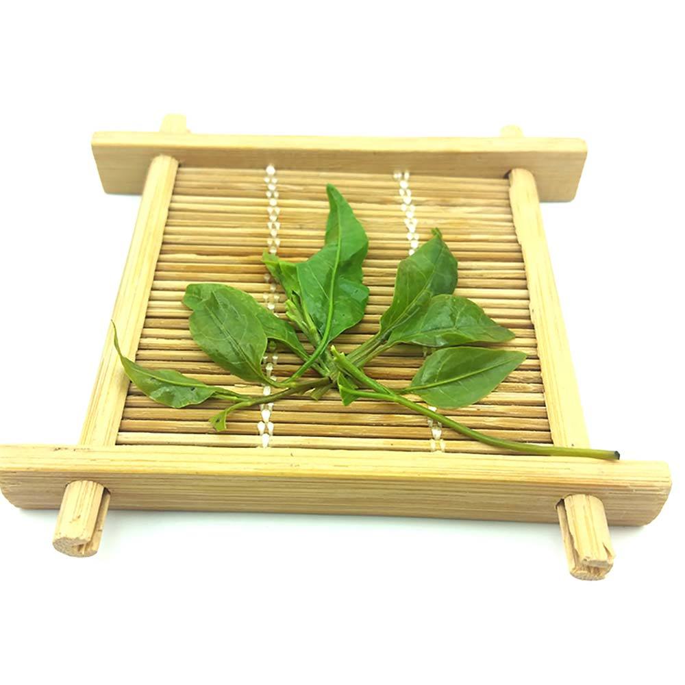 Preventing Obesity and Asthma Delaying Aging Big Leaf Kuding Tea Herbal Tea