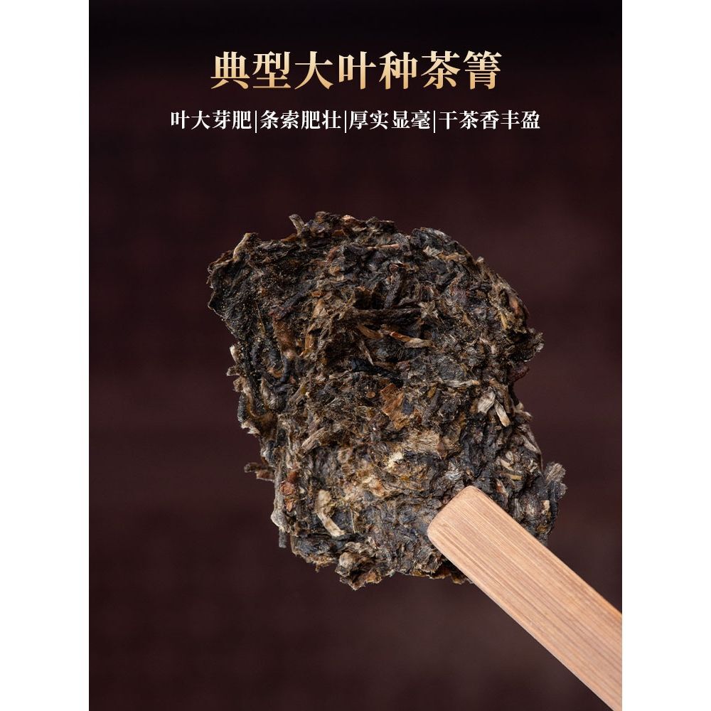 Menghai Qingtuo Puerh Tea Raw Tea Golden Bud Tuo Tea Yunnan Ancient Tree Tea