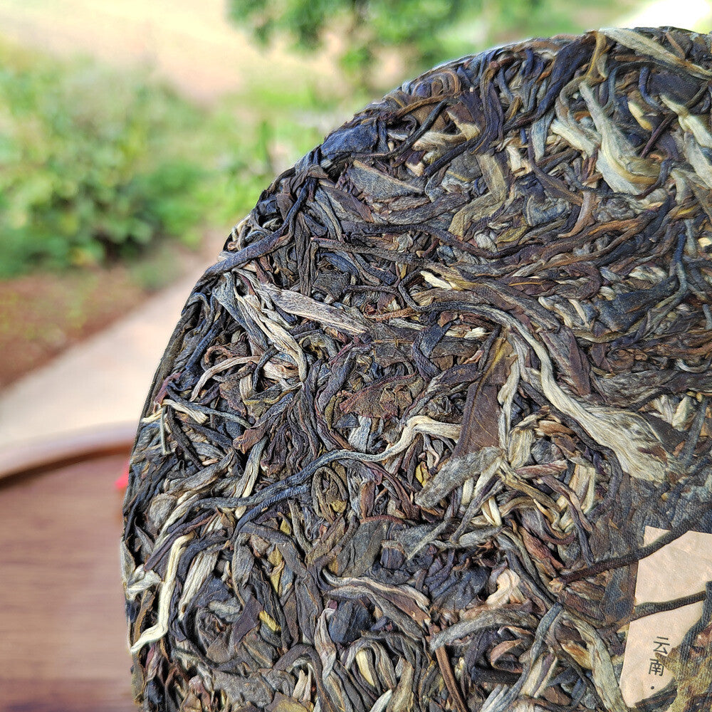 Ancient tree tea Yi Wu Pu 'er tea raw tea 2021 Yunnan old tree tea cake
