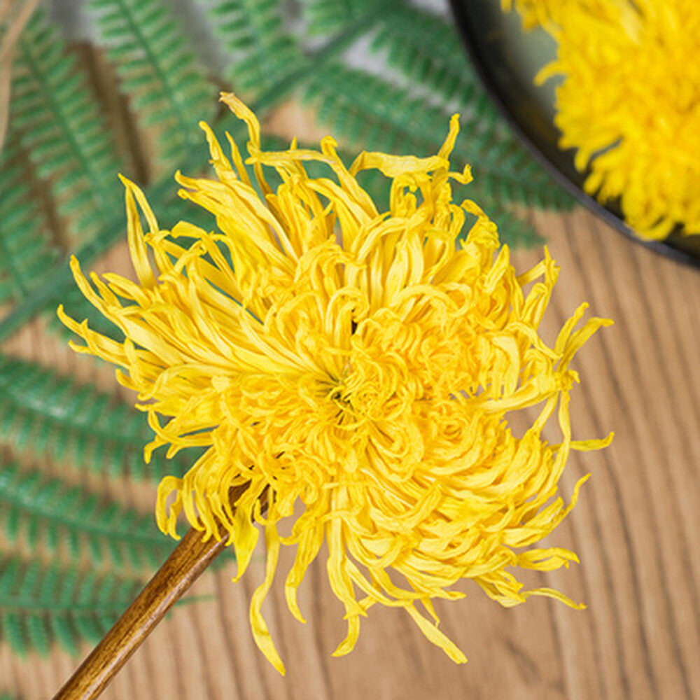 Emperor Chrysanthemum Tea Bags Giant Golden JU HUA Big Blooming Tea 100pcs
