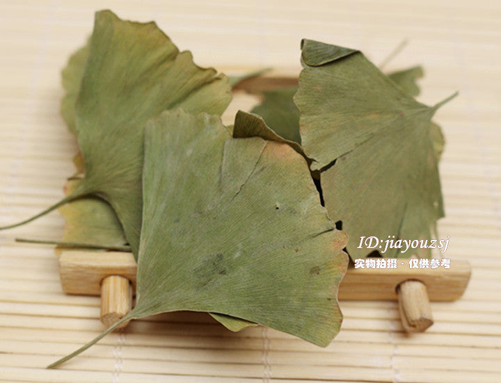 Ginkgo Biloba Leaves Tea Chinese Ginkgo Tea,Green Herbal Tea Chinese Herbs