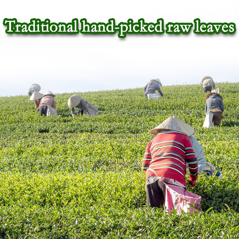 Oolong Taiwan Tea Jin Xuan Milk Wulong 250g Green Tea Organic Loose Leaf Tea