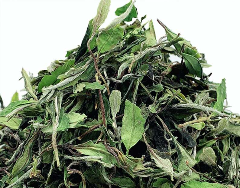 White Peony Tea,Potherb Teas,dried White Peony Tea, Chinese White Peony Teas