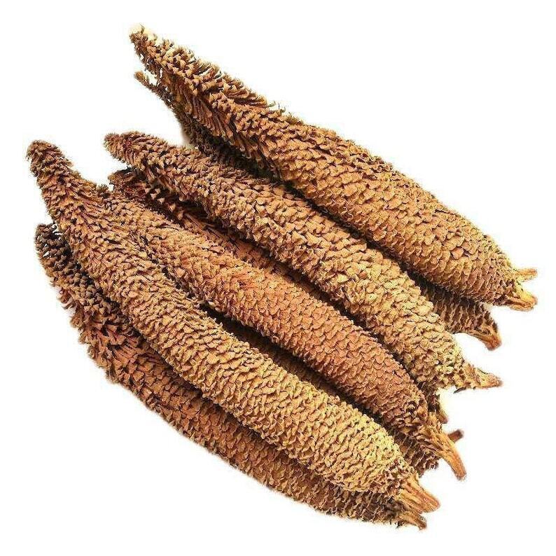 Dried Cycas Revoluta, Sago Palm Flower, Fruticose Dracaena Flower, Tie Shu Hua