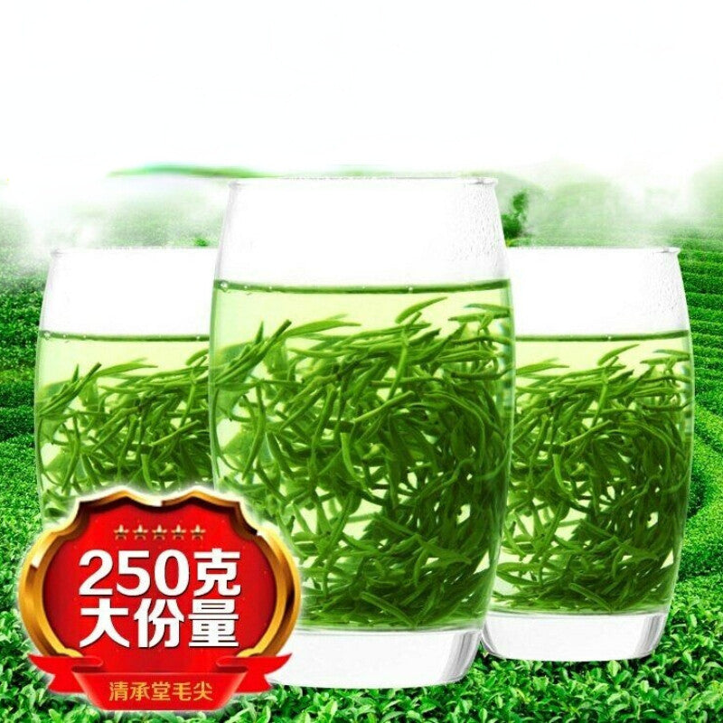 250g/Tin Ming Qian Xinyang Maojian Tea Xin Yang Tea Premium Mao Jian Green Tea