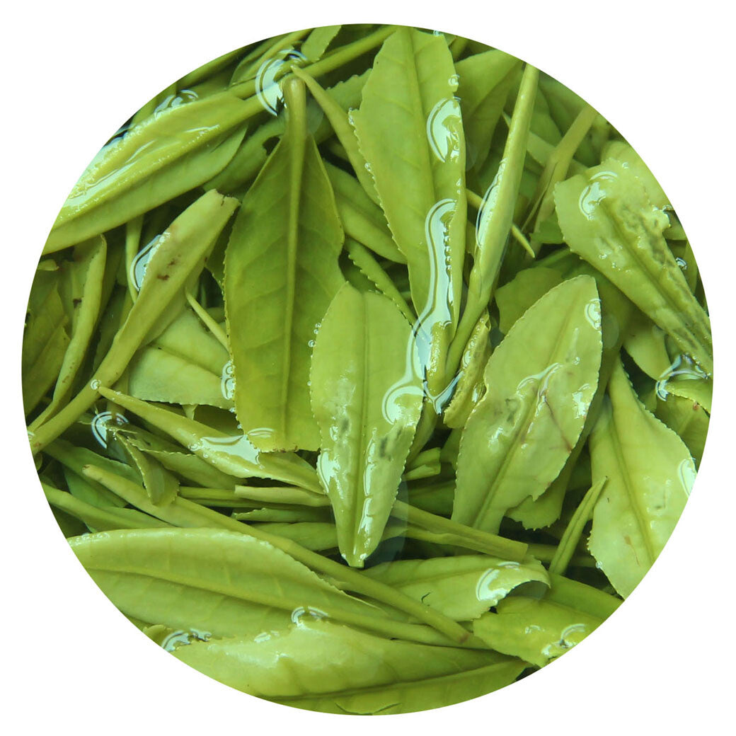 GOARTEA 100g Supreme Anji Baicha White Tea Spring GREEN White GREEN TEA Loose-