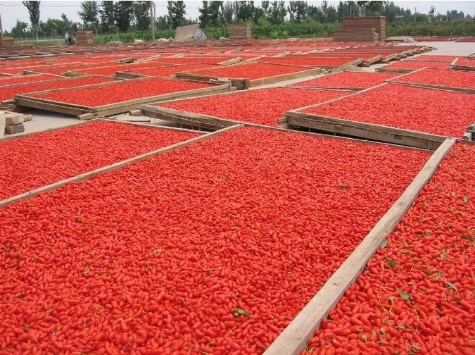 New Dried Goji Berries 250g Nespera Organic Wolfberry Chinese Gouqi Herbal Tea