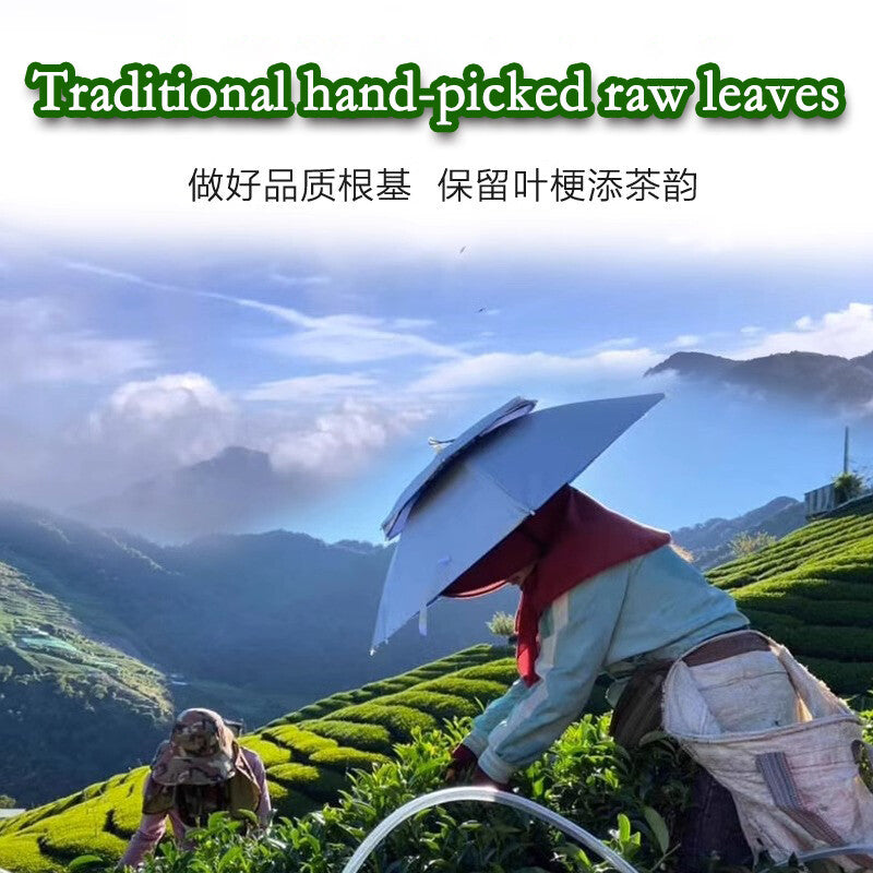 Milk Oolong Tea Loose Leaf Taiwan Tea Jin Xuan Milk Oolong Milky Aroma Tea 250g