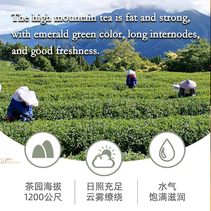Taiwan Oolong Tea Alishan Milk Oolong Tea Jinxuan Natural Oolong Tea Green tea